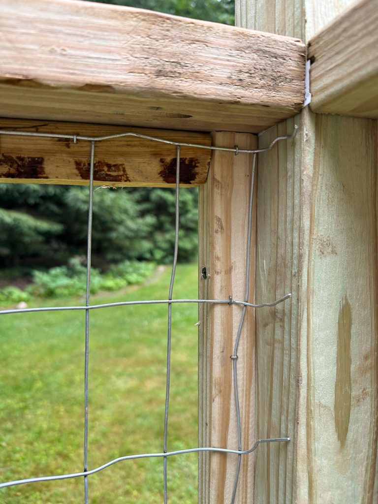 galvanized fencing stapled inside vegetable garden posts