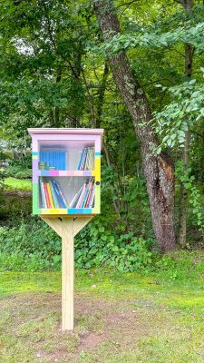 A small, colorful outdoor library box on a wooden post stands in a grassy area. It contains neatly arranged books and is surrounded by dense, green trees and foliage in the background.