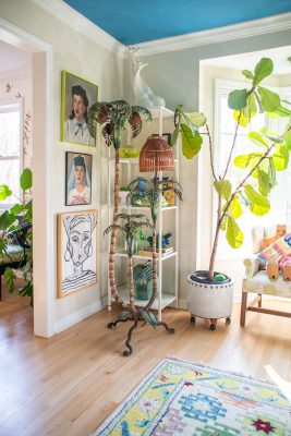 A vibrant room with wooden flooring, featuring a tall potted plant, a unique palm tree lamp, and a shelf with framed portraits. A colorful rug is on the floor, and the room has a turquoise ceiling with sunlight streaming in through a window.