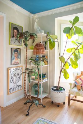 A vibrant living room corner with a tall potted plant and a vintage tree-shaped lamp. Artworks with human faces adorn the wall. A white shelf holds decorative items, and a plush chair sits nearby on a light wood floor.
