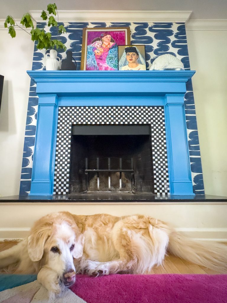 A relaxed golden retriever lies on a pink rug in front of a blue fireplace. The mantel displays colorful portraits and a white ceramic sculpture, against a backdrop of blue and white patterned wallpaper.