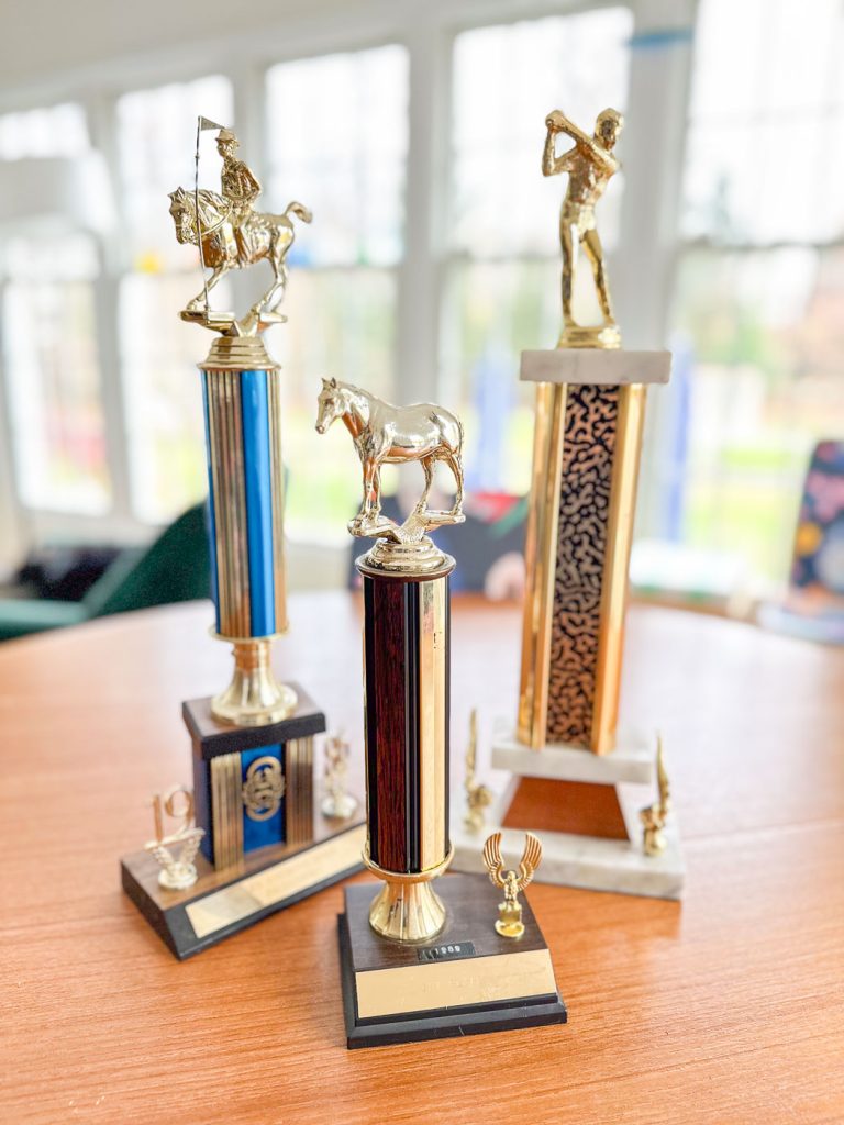 Three golden trophies are displayed on a wooden table. One features a horse rider, another a horse, and the third a golfer. They have black and blue bases with engraved plaques. Bright windows in the background suggest a well-lit room.